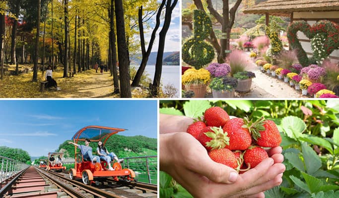 Nami Island + Garden of Morning Calm (+ Rail Bike/ Strawberry Picking option) 1 Day Tour - from Seoul - main view