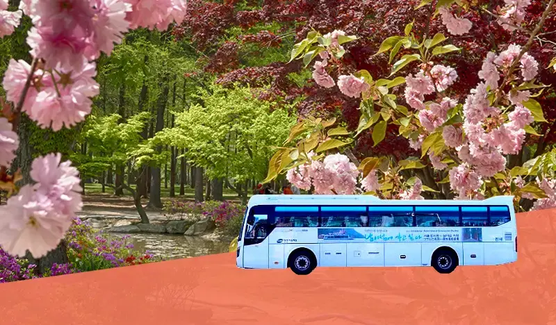 2D1N Nami Island Shuttle Bus + Ticket + Hotel Package - main view