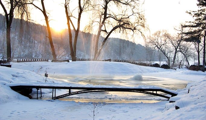 南怡島 + 小法國村 + 小意大利村 + 晨靜樹木園 1日遊 - 首爾出發 - main view