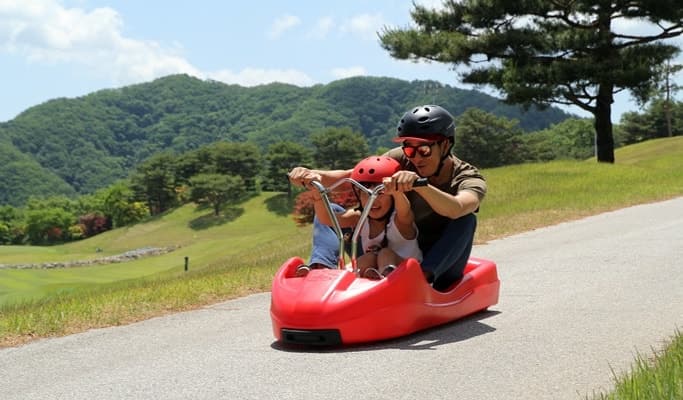 Seoul Vicinity: Nami Island and Luge Ride at Vivaldi Resort - main view