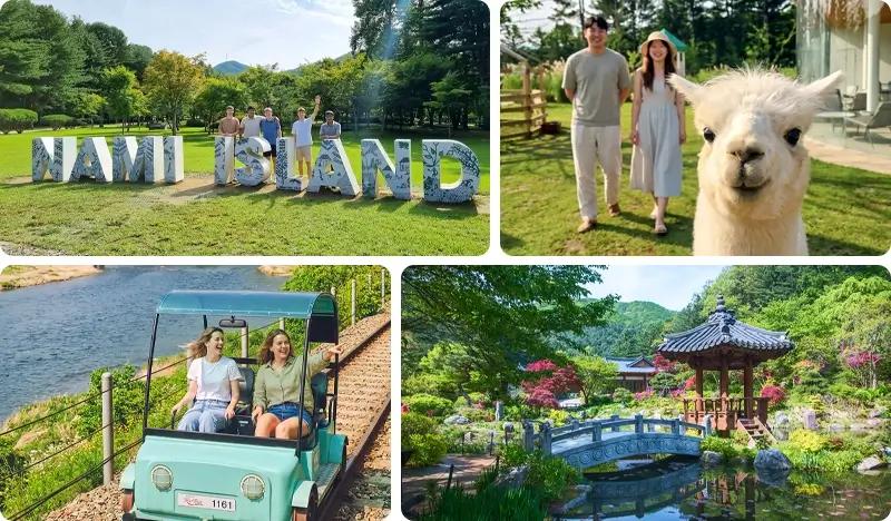 Nami Island & Alpaca Garden (+ Rail Bike/ Waterfall Cafe/ Garden of Morning Calm/ The Stay Healing Park) Tour