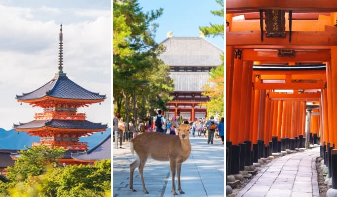 Kyoto & Nara 1 Day Tour: Nara Park & Fushimi Inari Shrine & Kiyomizu-dera Temple from Osaka/ Kyoto - main view