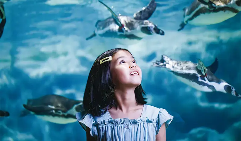 DMM Kariyushi Aquarium Discount Ticket in Okinawa - main view