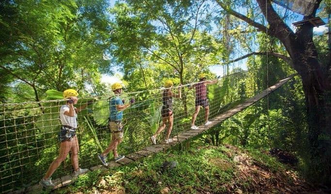 Jungle Xtrem Adventure Park Discount Ticket (+Transfer) - main view