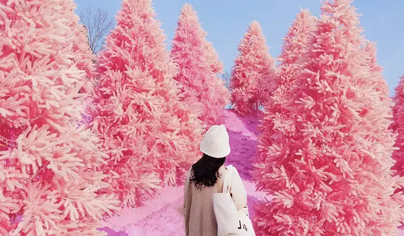 Pocheon Sanjeong Lake + Bidulginang Cascade + Herb Island (+ Apple/Strawberry Farm options) 1 Day Tour - from Seoul - main view