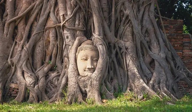 Private Ayutthaya 4 Temples Heritage 1 Day Tour - from Bangkok - main view