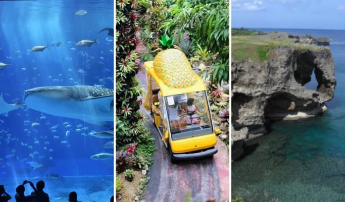 Okinawa Full Day Sightseeing Bus (Churaumi Aquarium and more) - main view