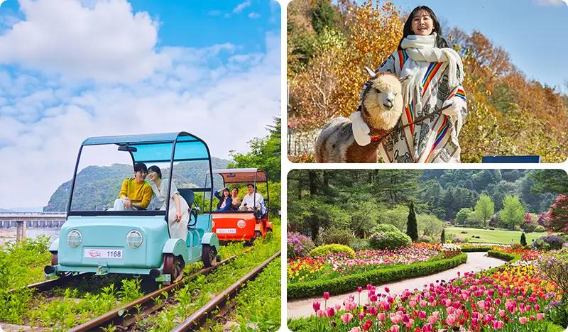 Alpaca World & Gangchon Rail Bike 1 Day Tour from Seoul (+ Garden of Morning Calm option) - main view