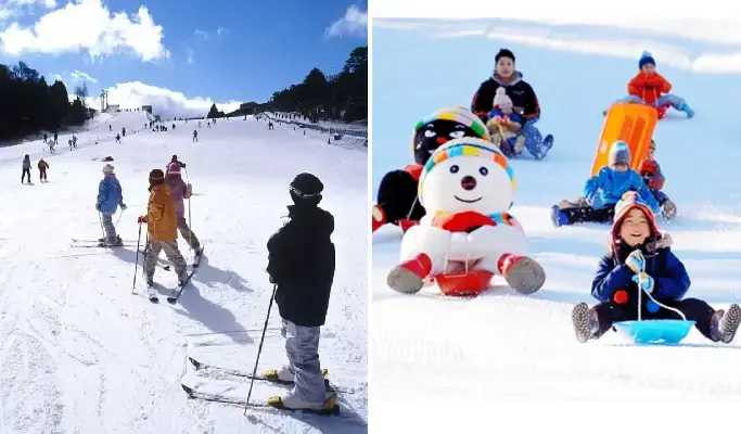 Mt. Rokko Snow Park: Ski & Snowboard Rental/ Snow Sled/ Admission Ticket 2025 - main view
