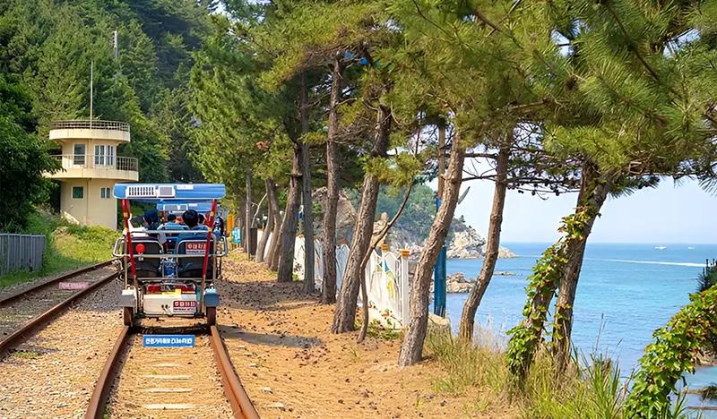 Tiket Samcheok Ocean Rail Bike - main view