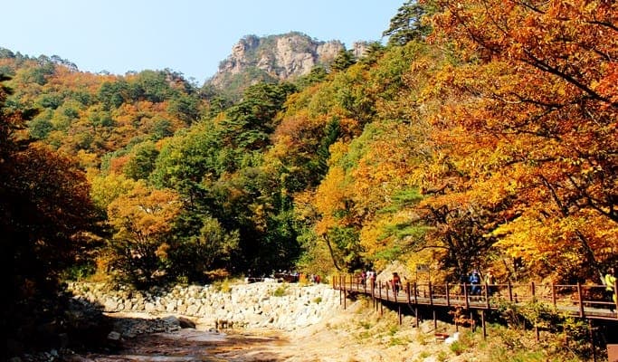 Seoraksan National Park & Daegwallyeong Sheep Farm/Sokcho Tourist & Fishery Market 1 Day Tour (Tue & Thu) - main view
