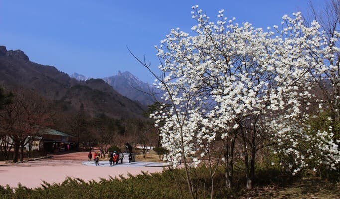 Seoraksan National Park Hiking Tour (Private/Join-in) - main view