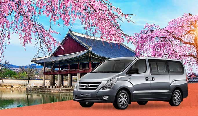 Spring Special: Seoul Cherry Blossom Private 1 Day Tour (Apr 4~12) - main view