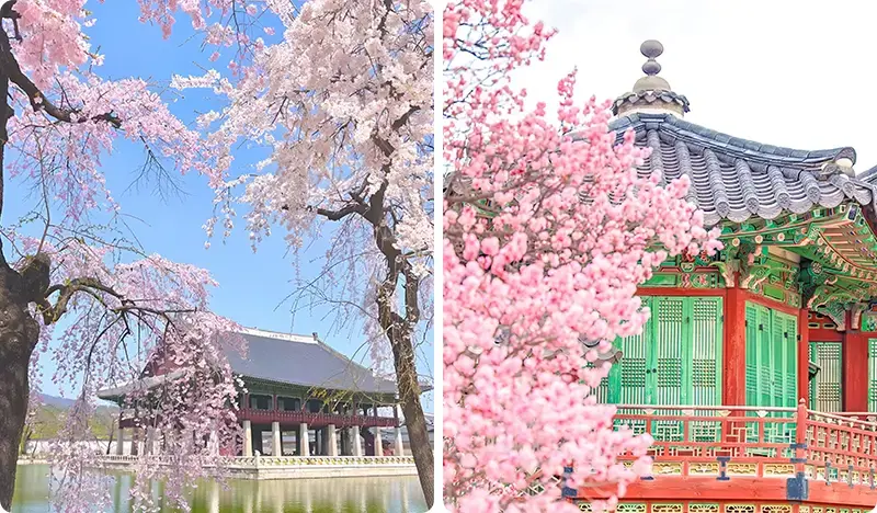 韓國宮殿之旅 - main view