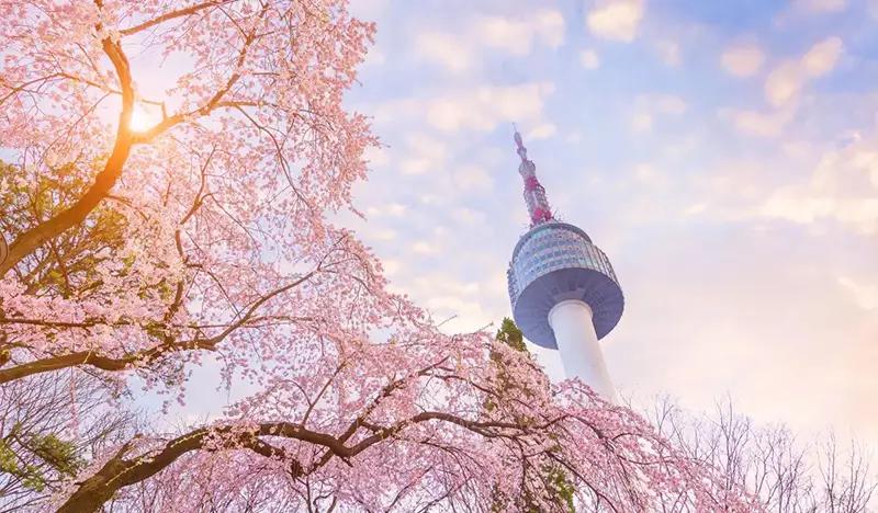 N Seoul Tower Observatory + Cable Car Discount Ticket (Round-trip) - main view