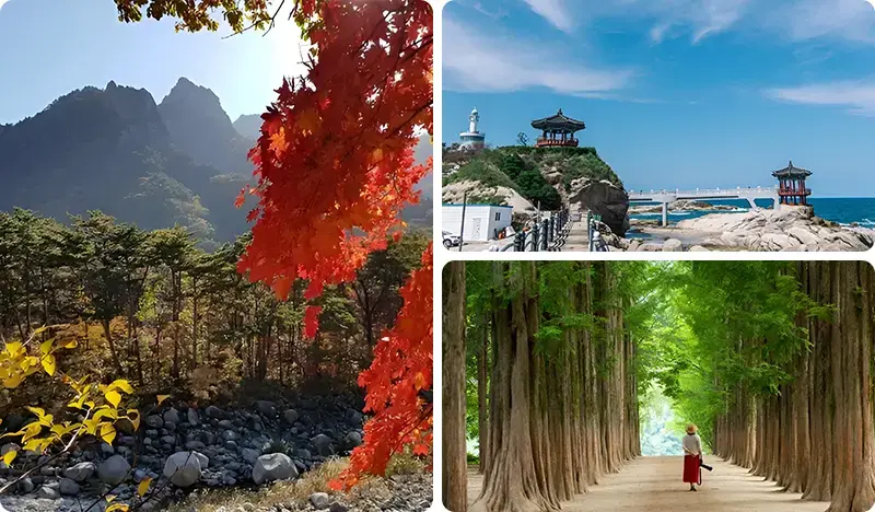 Private Seoraksan National Park (+ East Sea or Nami Island) 1 Day Tour from Seoul - main view