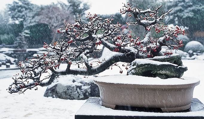 Spirited Garden Jeju Entrance Ticket - main view