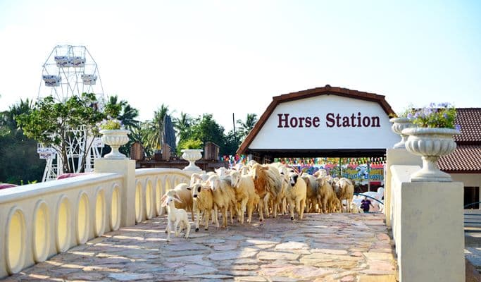 Swiss Sheep Farm Pattaya Discount Ticket (+Private Transfer option) - main view