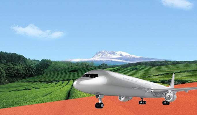 大邱出發濟島一日遊(含來回機票&團體旅遊) - main view