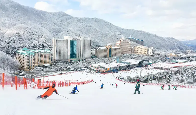 Vivaldi Park Ski Resort: 1 Day Ski/Snowy Land Snow Sled Tour - from Seoul - main view