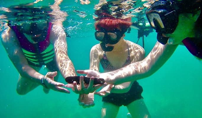 Koh Yawasam + Koh Talu + Phra Nang Beach Snorkeling 1 Day Tour by Long-tail Boat - from Krabi (Join-in/Private) - main view