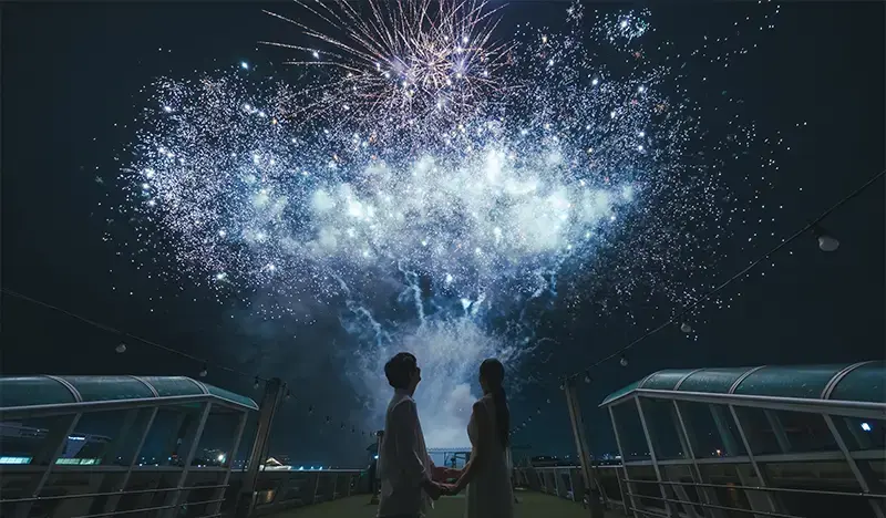 Seoul Hangang River Music Fireworks Cruise from Yeouido - main view