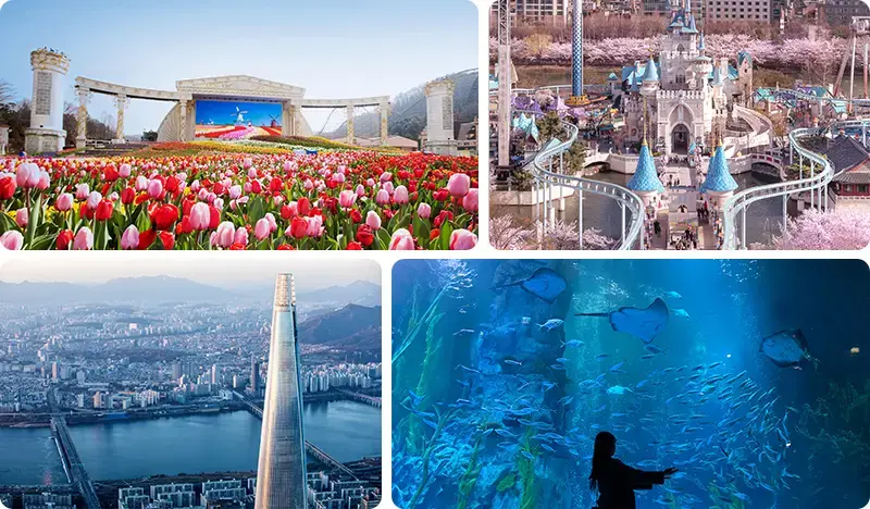 Everland + Lotte World (+ Seoul Sky/ Lotte World Aquarium) 2-Day Tour (Lotte Duty Free Shopping included) - from Seoul - main view