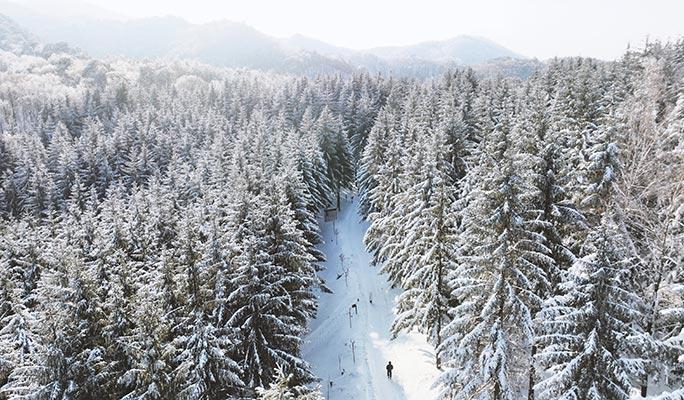 Yongpyong Ski Resort: Paket Ski/Snowboard 2 Hari 1 Malam di Dragon Valley (Termasuk Sarapan) - main view