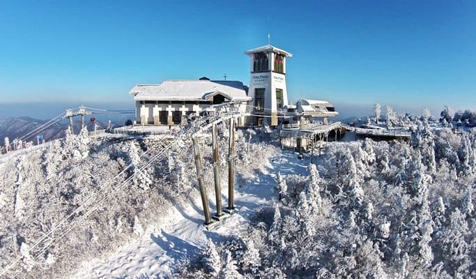 1 Day Ski/Snowboard Tour: Yongpyong Ski Resort (+ Balwangsan Cable Car option) - main view