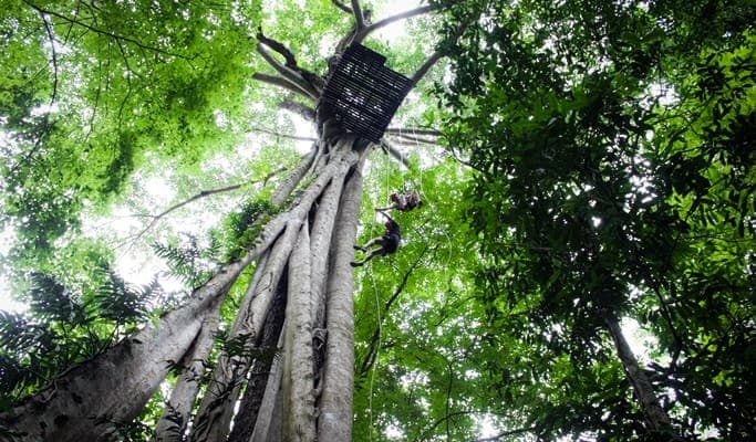 Flight of the Gibbon - 1 Day Zipline Adventure from Chiang Mai (+Segway Tour/Elephant Sanctuary Visit) - main view